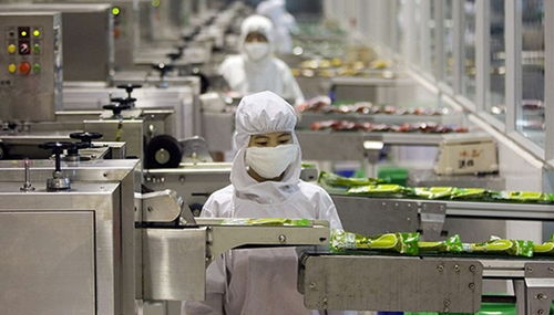 上海醫用面膜代加工廠